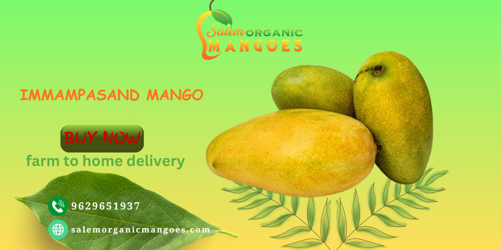 slide for immampasand mango.png